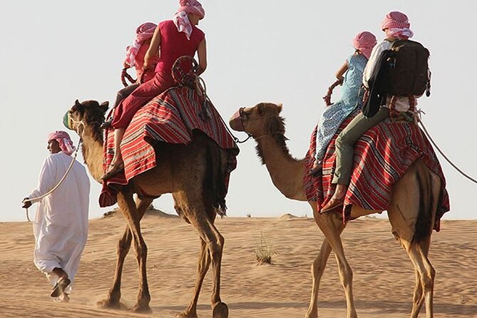 Private 4Hour Desert Adventure: Dune Bashing, Camel Ride & Photos - Dune bashing is the tour’s main burst of speed