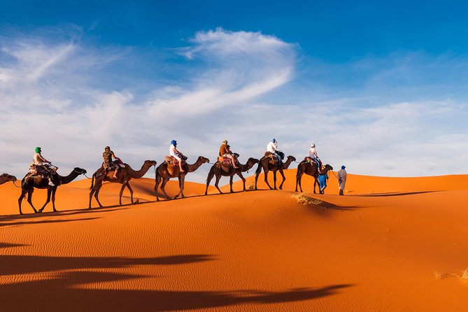 Private Abu Dhabi Evening Desert Safari (Exclusive) - What the private price really buys