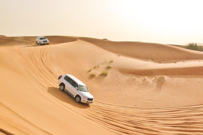 Private Abu Dhabi Evening Desert Safari (Exclusive) - Who will enjoy this safari most