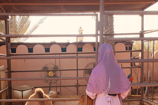 Private - Abu Dhabi Half Day City Tour - What the private format adds