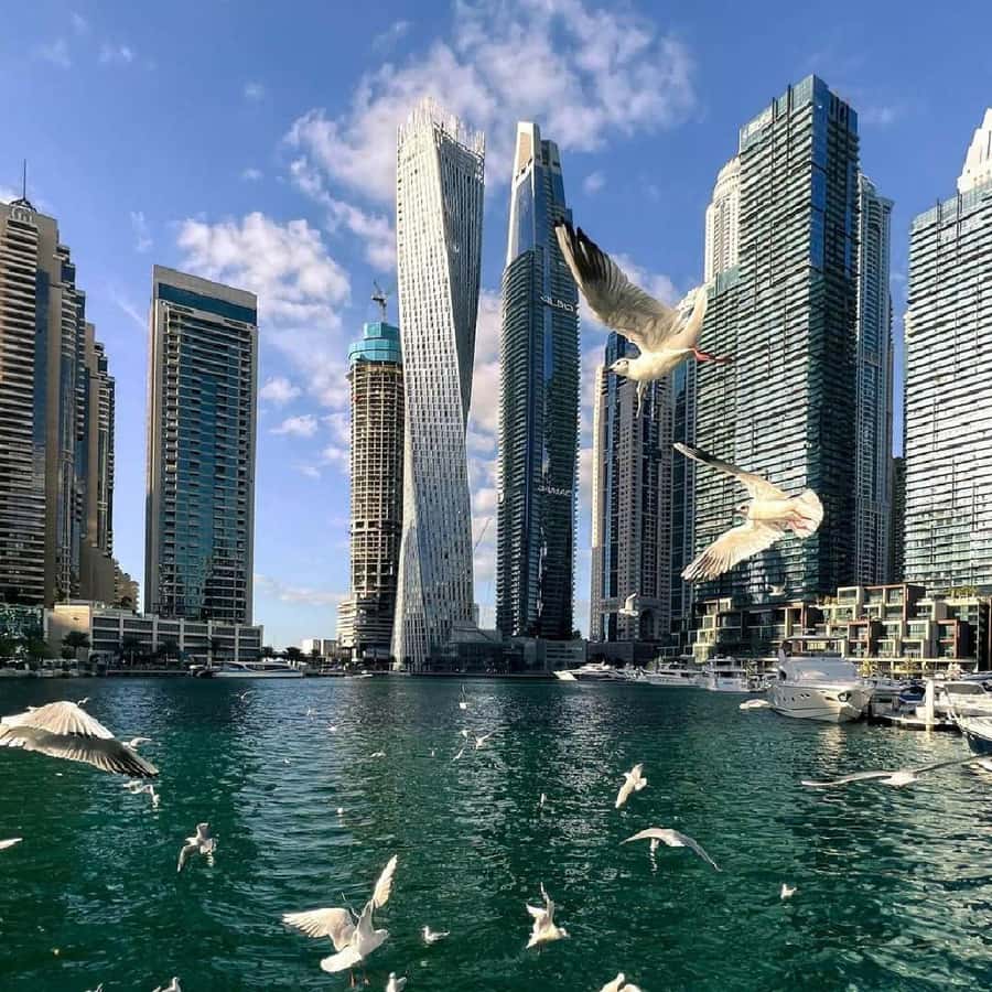 Private Dubai CityTour with Miracle Garden or Global Village - What the guides add to the day