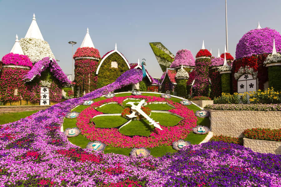 Private Dubai Frame & Miracle Garden Trip with Transfer - Starting with a private hotel pickup