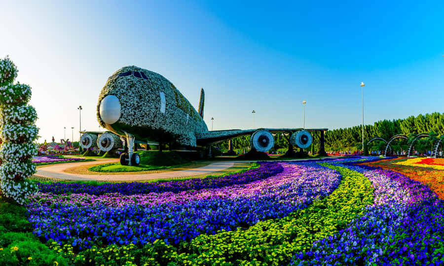 Private Dubai Frame & Miracle Garden Trip with Transfer - Why the private format matters