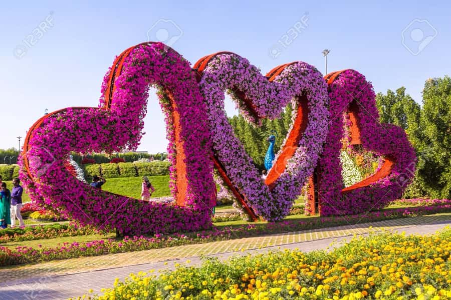Private Dubai Frame & Miracle Garden Trip with Transfer - Timing, comfort, and accessibility