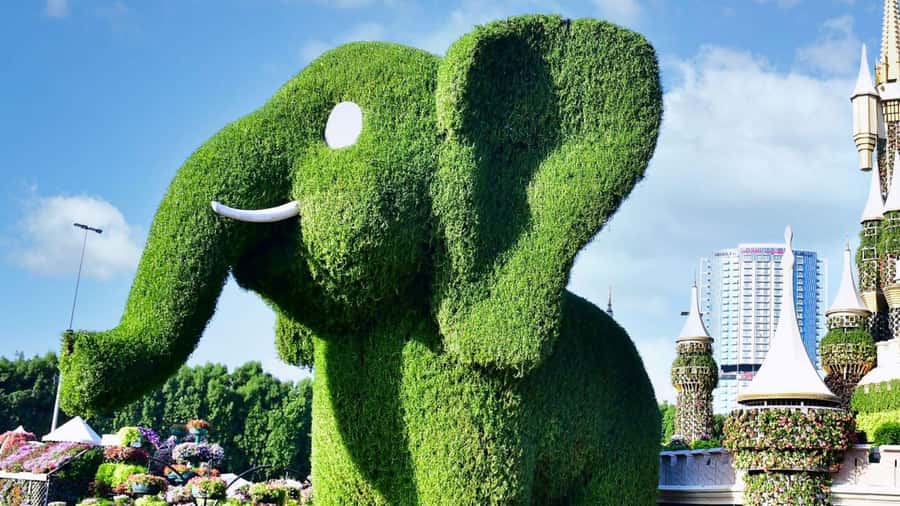 Private Dubai Frame & Miracle Garden Trip with Transfer - How to get the most from the day