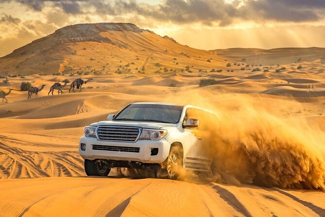 Private Evening Desert Safari with BBQ Dinner Dubai - BBQ dinner with familiar and regional choices