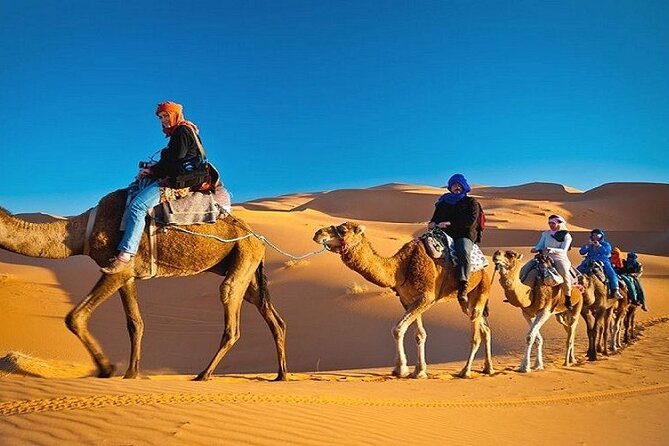 Private Evening Desert Safari with BBQ Dinner Dubai - Who will get the most from this six-hour outing