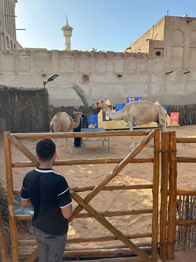Private Food Tour – 12 Tastings with Locals - Why this food walk works in Old Dubai