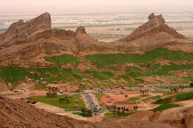 Private Garden City Tour with Zoo Ticket at Al Ain - Starting with four thousand animals at Al Ain Zoo