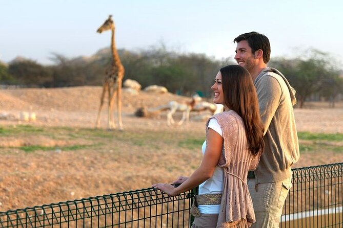 Private Garden City Tour with Zoo Ticket at Al Ain - Timing, comfort, and small things to settle first