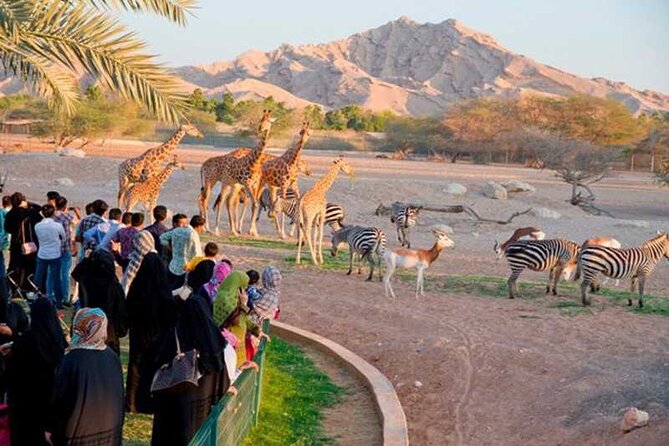 Private Garden City Tour with Zoo Ticket at Al Ain - Climbing Jebel Hafeet for the big view
