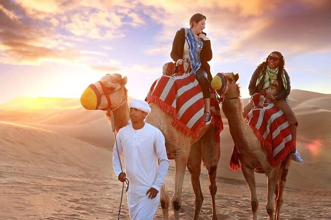 Private Premium Desert Safari 4x4 Vehicle with BBQ Dinner - DUBAI - Belly dancing and live evening entertainment