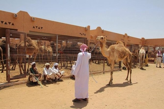 Private Tour: Full Day Al Ain City Tour From Dubai - Why Al Ain makes a good change from Dubai