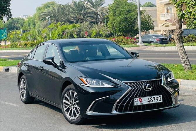 Private Transfer - Airport | Hotels | Port | City - Abu Dhabi - A smoother arrival at Abu Dhabi Airport