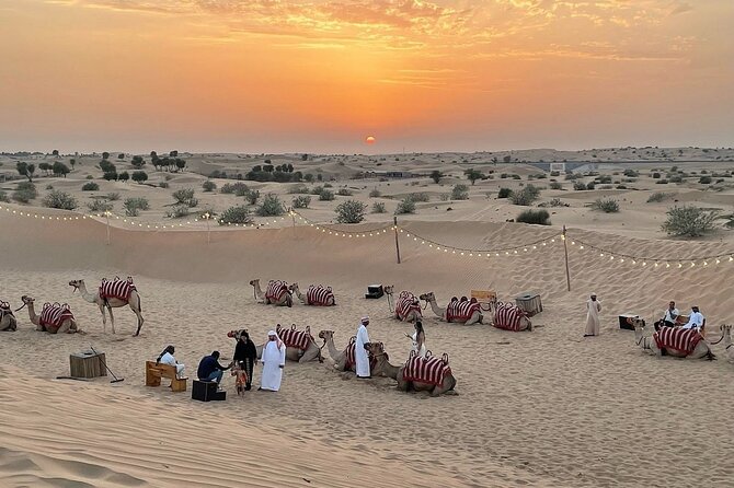 Quad Bike Dubai Private Tour - Safety, comfort, and riding ability