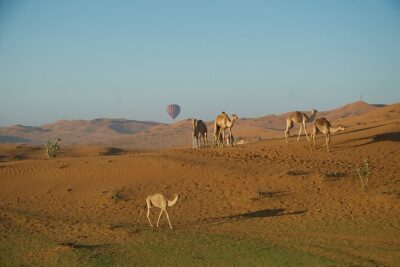 RAK Hot Air Balloon Flight