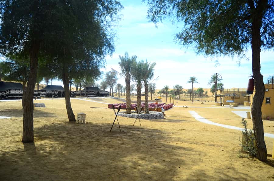Ras Al Khaimah: Afternoon Desert Safari and BBQ Dinner - Who Will Enjoy This Safari Most
