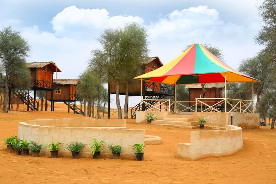 Ras Al Khaimah: Half-Day Desert Safari with Dinner - Extra activities and the need to watch your spending