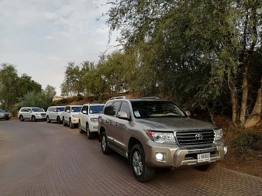 Ras Al Khaimah: Half-Day Desert Safari with Dinner - Tannourah, fire, and belly dancing after dark