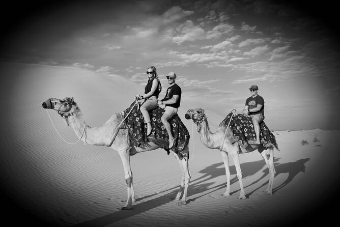 Safari Half-Day Adventure from Abu Dhabi - A camel farm stop with a short ride