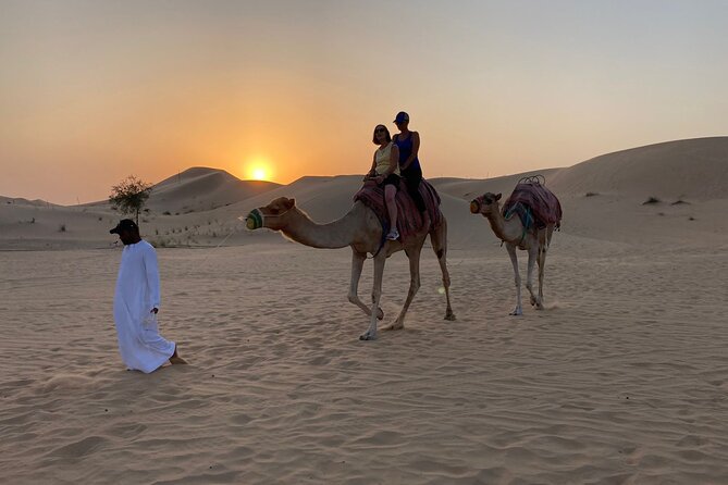 Safari Half-Day Adventure from Abu Dhabi - Sandboarding without another admission fee