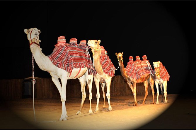 Sahara Arabian Desert Dinner Experience with Transport from Dubai - Transport is the weak point to watch closely