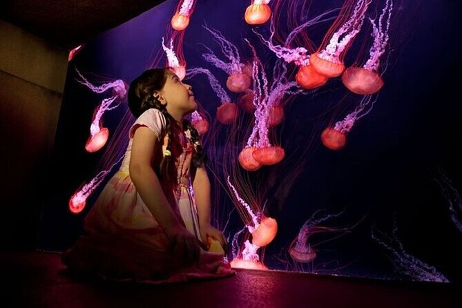 Skip The Line : Atlantis Lost Chambers Aquarium - Why an early visit may work best