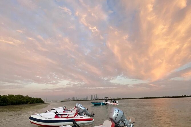 Small-Group Self-Drive Speedboat Tour in Yas Island Mangroves - Flamingo spotting and the beach stop
