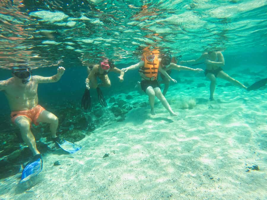 Snorkeling with turtles in Fujairah with BBQ lunch - Where this trip may disappoint