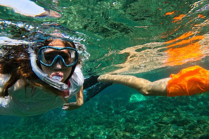 Snorkeling with turtles in Fujairah with Transfer & BBQ lunch - From Dubai to Fujairah by road