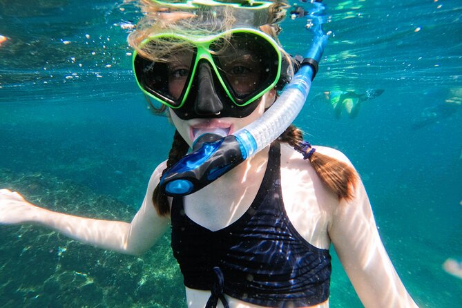 Snorkeling with turtles in Fujairah with Transfer & BBQ lunch - Lunch, drinks, and the practical comforts