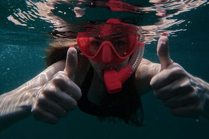 Snorkeling with turtles in Fujairah with Transfer & BBQ lunch - Who should book this Fujairah snorkeling trip?