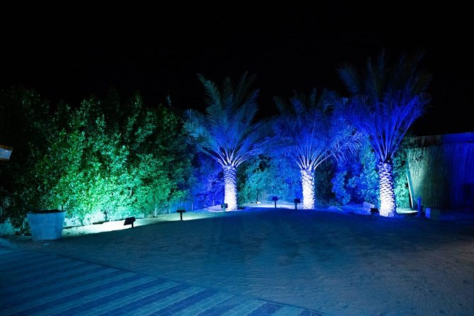Standard Desert Safari, camel ride, BBQ Dinner, Belly Dance Show, Pick & Drop - A sunset stop worth making time for
