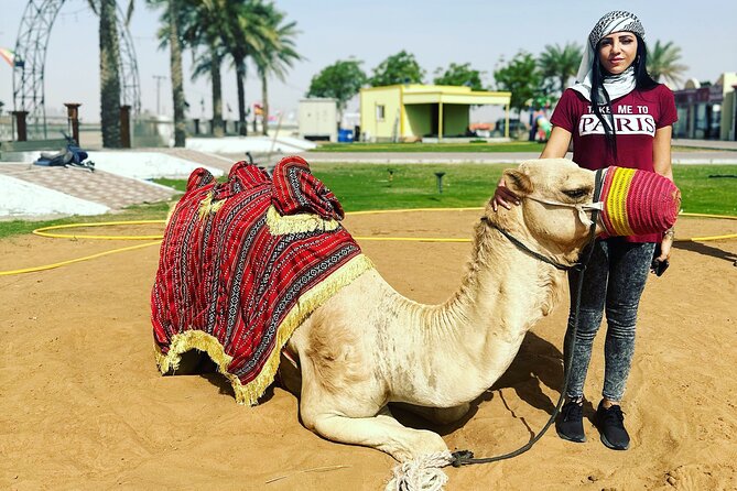 Sunset Desert safari with Camel Ride Sand Board & BBQ Dinner - What the six-and-a-half-hour schedule feels like