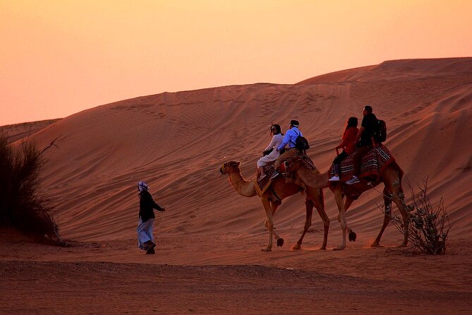 Sunset Evening Safari,Camel ride,live shows and BBQ Dinner with No Hidden Charge - From Dubai streets to Lahbab’s red dunes