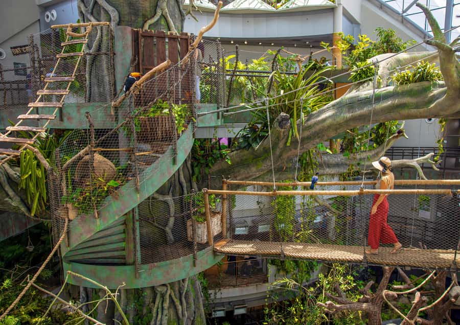 The Green Planet - Dubai's Unique Indoor Rainforest - Close encounters with birds, reptiles, and sloths
