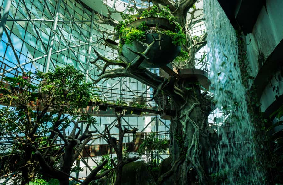 The Green Planet - Dubai's Unique Indoor Rainforest - The thunderstorm adds a memorable change of pace