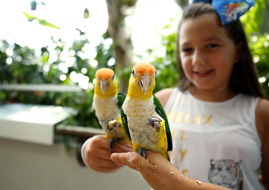 The Green Planet - Dubai's Unique Indoor Rainforest - How long the visit really takes