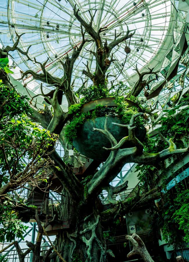 The Green Planet - Dubai's Unique Indoor Rainforest - A good educational stop for children, with one important rule
