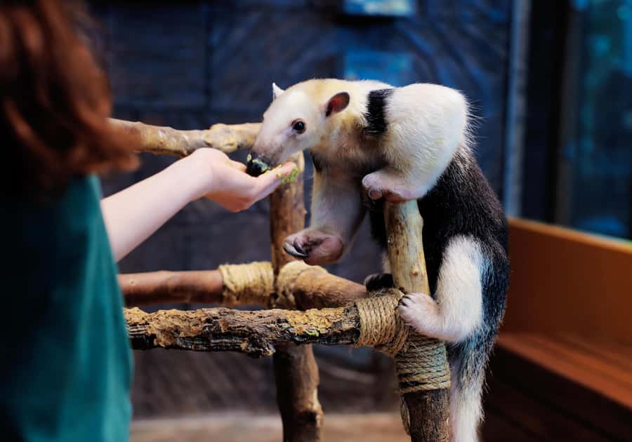 The Green Planet - Dubai's Unique Indoor Rainforest - Who should book The Green Planet?