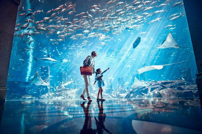 Ticket to Atlantis Aquaventure Waterpark & Combo - The big rides: Leap of Faith, Poseidon’s Revenge, and Aquaconda