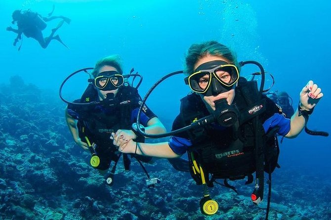 Two Dives for certified divers in Fujairah - Key points to know before you book