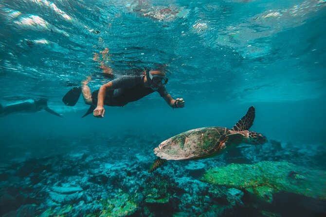 Two Dives for certified divers in Fujairah - The early pickup and road to Fujairah