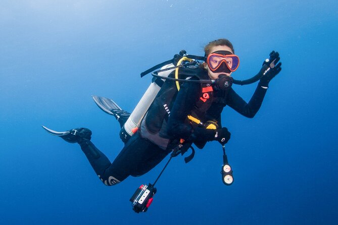 Two Dives for certified divers in Fujairah - Two underwater sessions, plus snorkeling