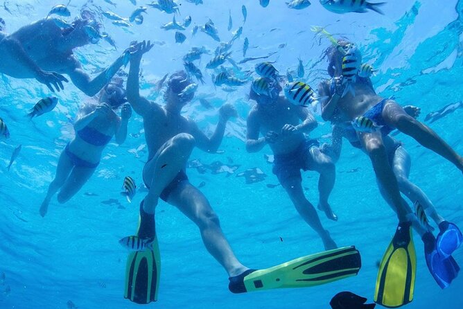 Two Dives for certified divers in Fujairah - Equipment, staff, and group size