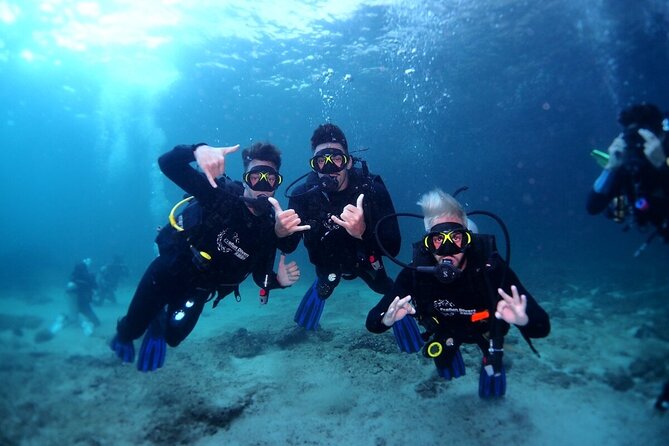 Two Dives for certified divers in Fujairah - Choosing the right sites for your experience