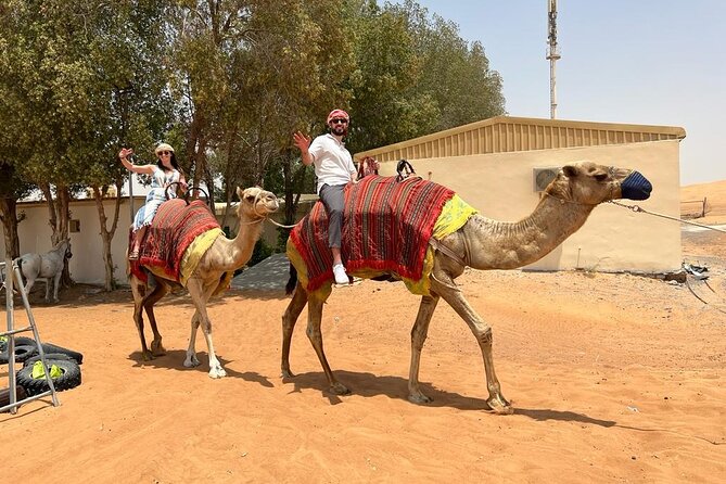 Vip Desert Safari Dubai with Camel Riding BBQ Dinner & Live Shows - Cancellation and planning details