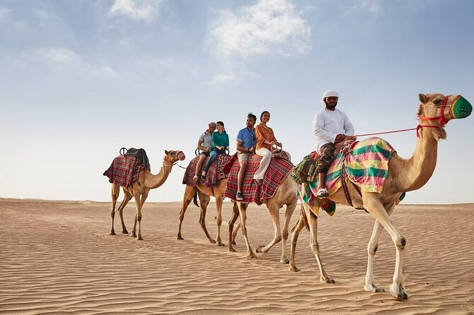VIP Dubai Sunset Desert Safari: Camel Ride, BBQ, Unlimited Spirit - Who should book this Dubai desert safari?