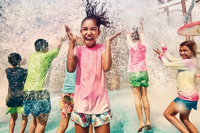 Yas Water World Abu Dhabi Ticket - Is $81.43 good value?